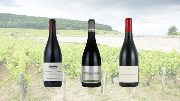 2月13日(金) ～　シャルム・シャンベルタン　グランクリュ　３グラスセット