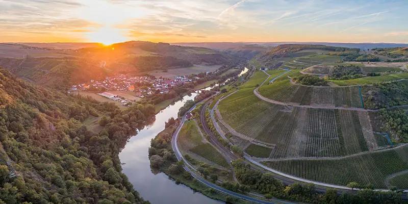 4/11～ドイツワインテイスティングのご紹介