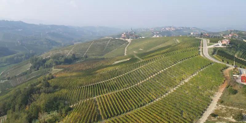 22新春福袋 赤ワイン バローロ フランチャ ジャコモ コンテルノ 17 750ml 赤ワイン