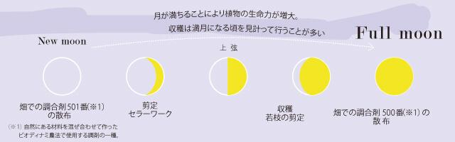 新月から満月