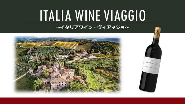Italia Wine "Viaggio"「イタリアワイン・ヴィアッジョ」