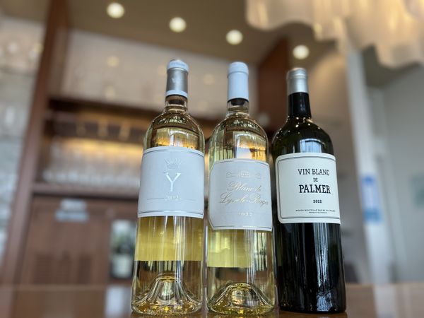 ボルドーブランの魅力