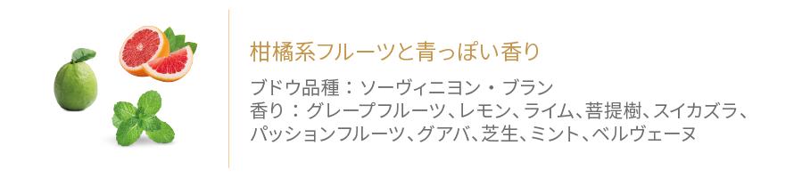 セラー・セレクション・ソーヴィニヨン・ブランの香り