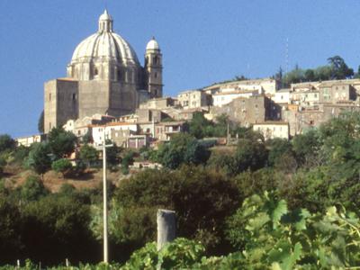 カンティーナ・ディ・モンテフィアスコーネ / CANTINA DI MONTEFIASCONE