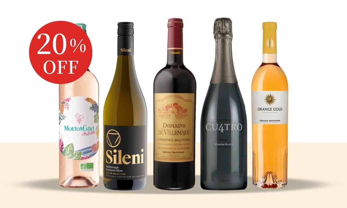 2025年の売上本数上位！売れ筋ワイン5本セット NB 2-1 [750ml×5]