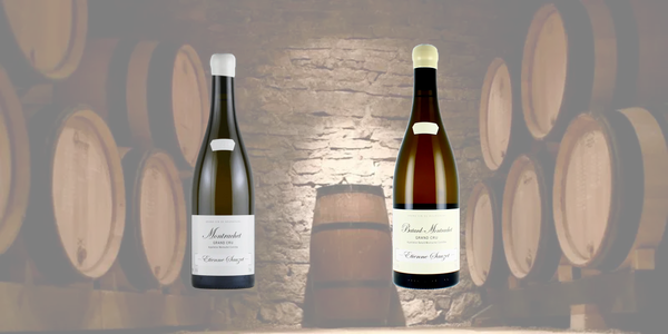 1月30日（金）～エティエンヌ・ソゼ　特級畑２グラスセット