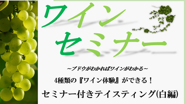 メインブログ画像
