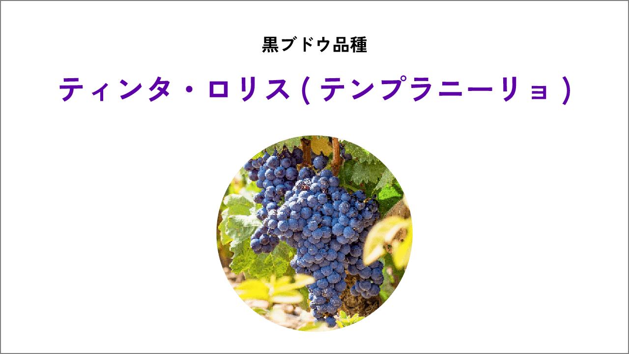 ティンタ・ロリス（テンプラニーリョ）