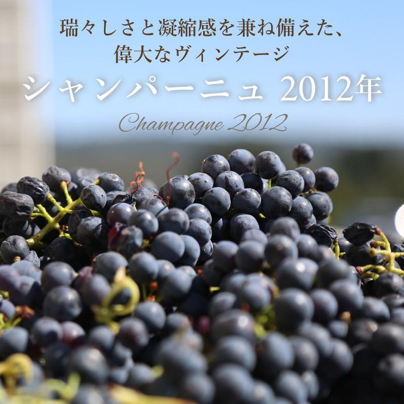 瑞々しさと凝縮感を兼ね備えた偉大なヴィンテージ「2012年シャンパーニュ」
