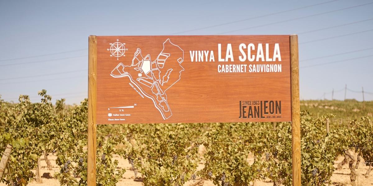 ジャン・レオン / JEAN LEON