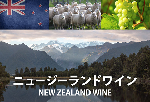 「ニュージーランドワイン」主要な産地とおススメワインをご紹介！
