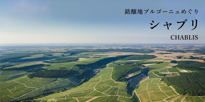 シャブリ - 銘醸地ブルゴーニュめぐり | エノテカ - ワイン通販