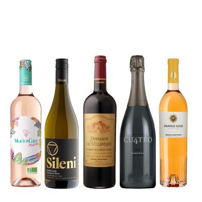 2025年の売上本数上位！売れ筋ワイン5本セット NB 2-1 [750ml×5]