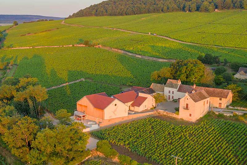 ドメーヌ・コンテス・ド・シェリゼ DOMAINE COMTESSE DE CHERISEY