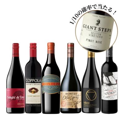 当たりの場合49%OFF！ゴールデンウィークワインボックスF 赤6本 [750ml × 6]