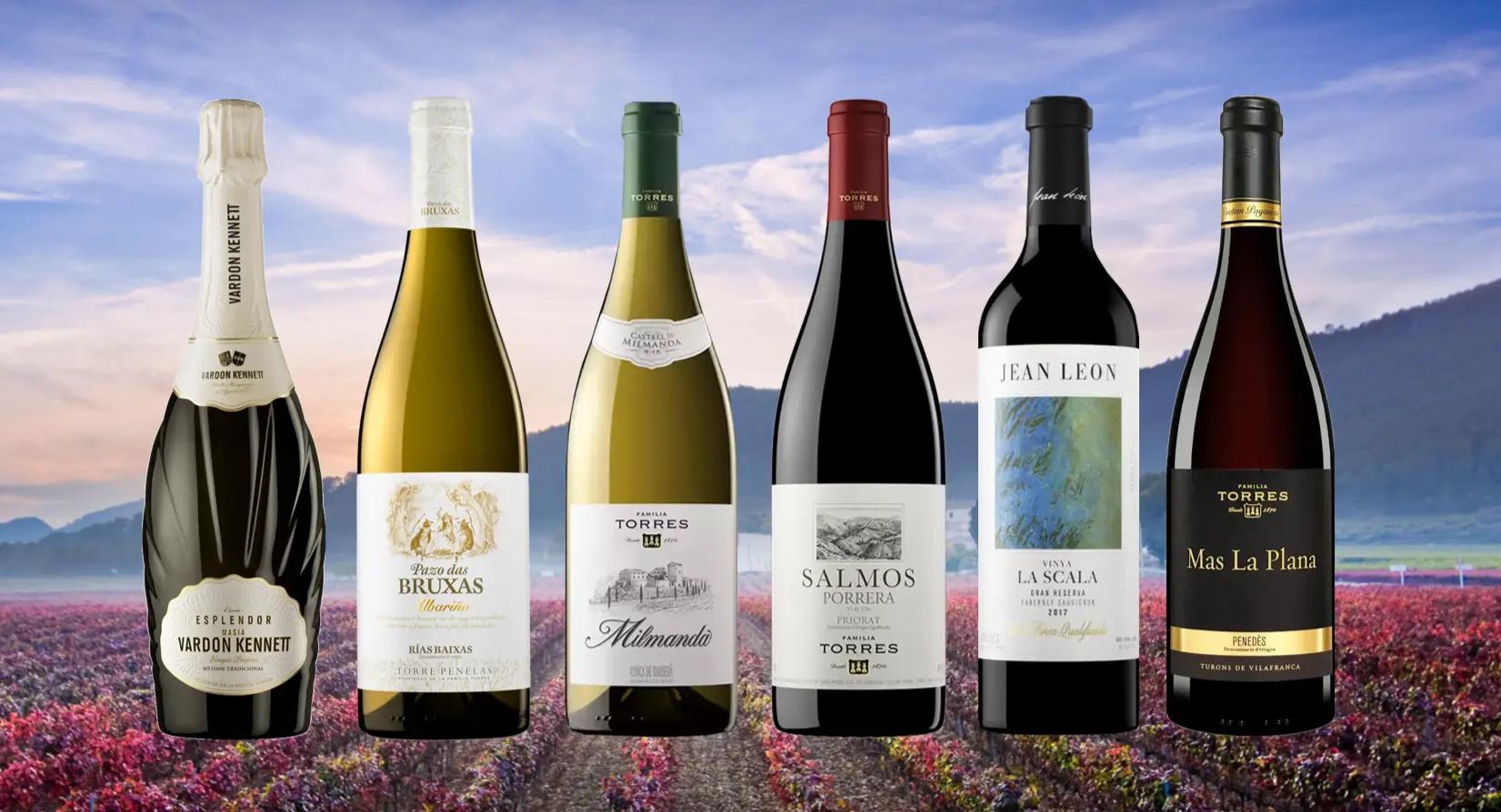 ブログメイン画像
