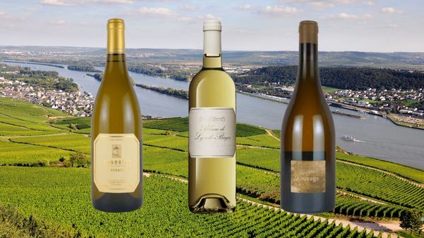 フランス銘醸地 白ワイン3種テイスティング