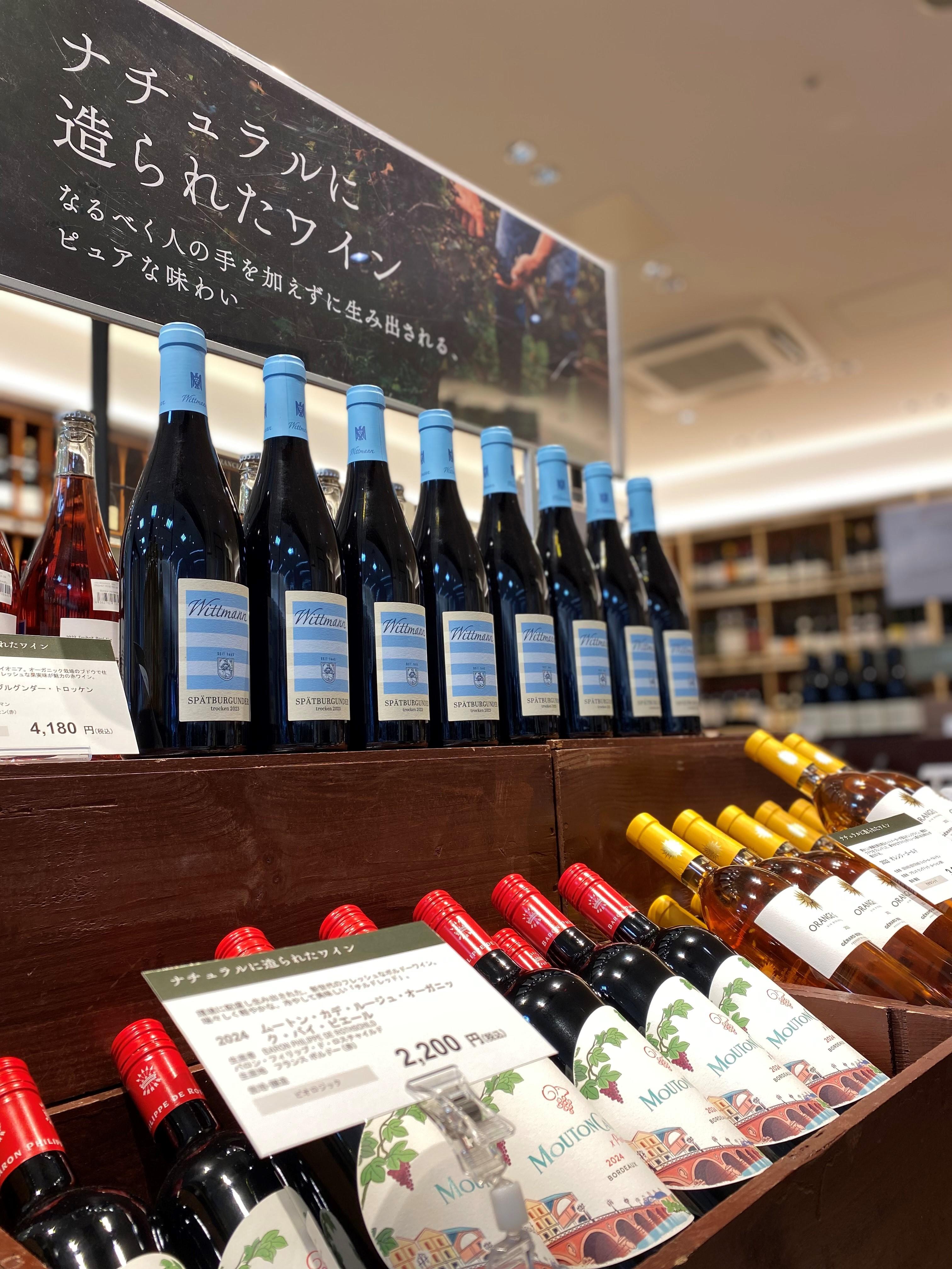 ブログメイン画像