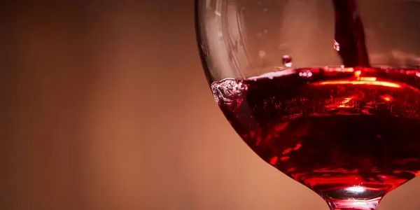 ドイツとブルゴーニュのピノ・ノワールを愉しむ