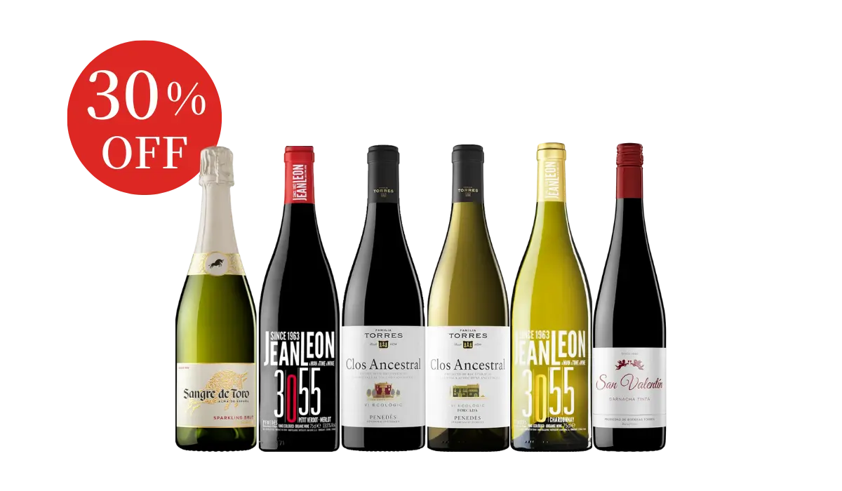 名門トーレスが造る！スペインワイン6本セット MIX2-1 [750ml x 6]