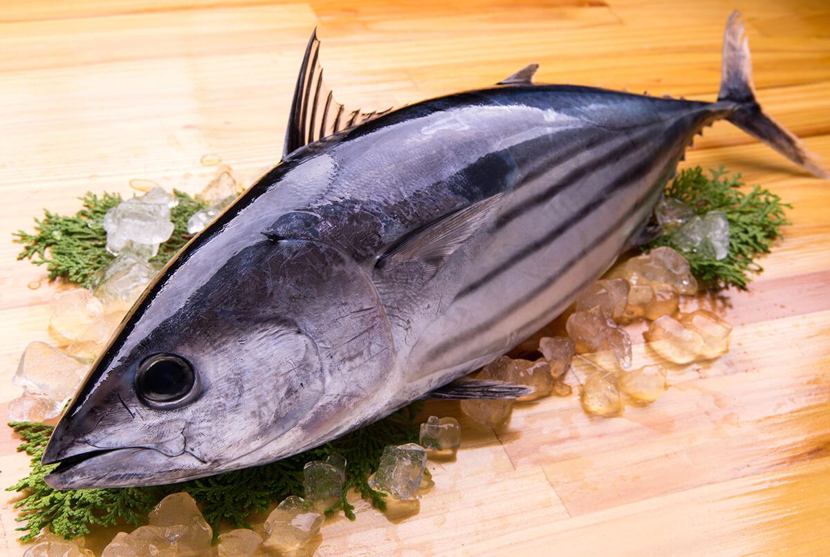 科学的に考える ワインと魚の相性論 エノテカ ワインの読み物