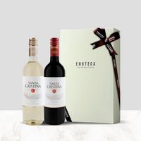 特別セーフ 送料・紙箱込み・説明付き】イタリア産紅白ワイン 3,300円ギフト ワイン