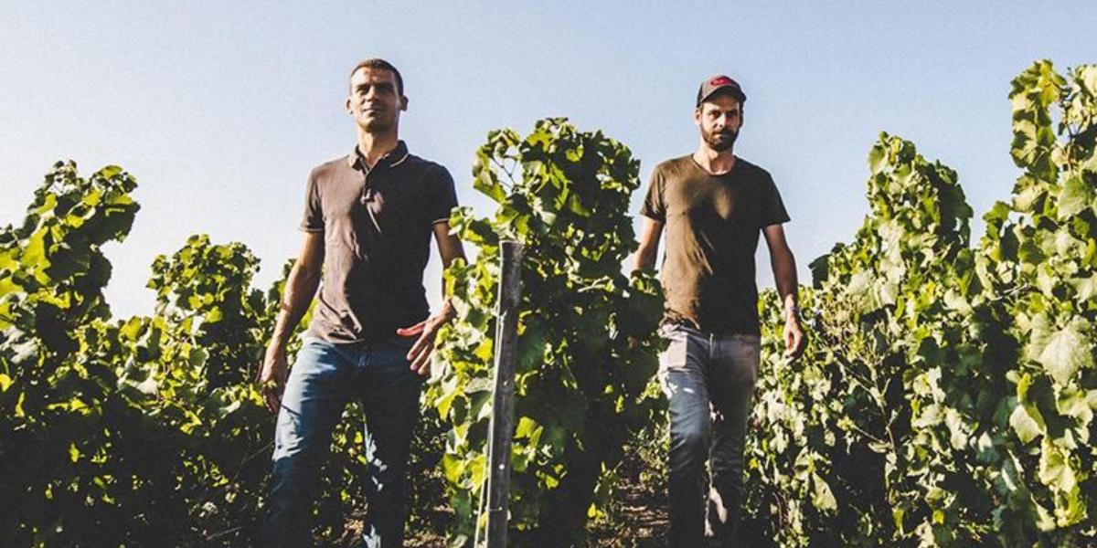 ペルトワ・ルブラン / PERTOIS-LEBRUN