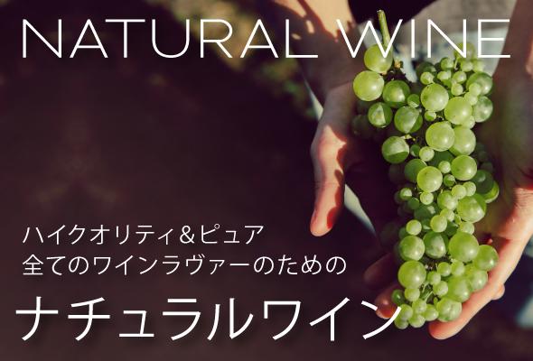 ブログメイン画像