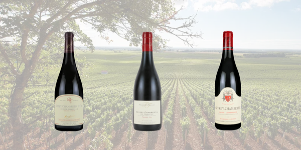 1月9日(金）ジュヴレ・シャンベルタン　一級畑　比較３グラスセット