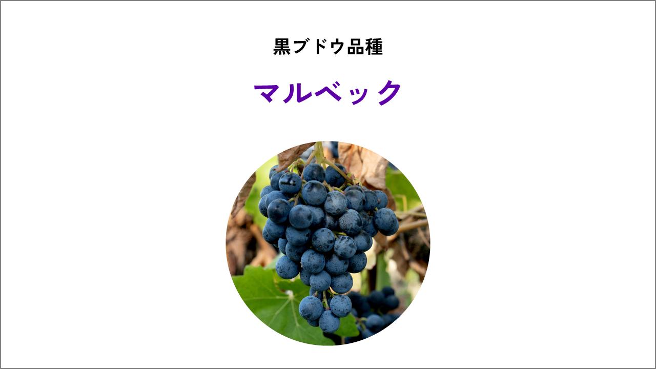 マルベック