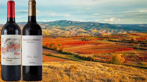 リオハの頂点を極めるマルケス・デ・ムリエタ2種