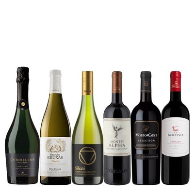 人気生産者が勢揃い！周年祭限定セットC（赤白泡6本） KS5-1 [750ml x 6]