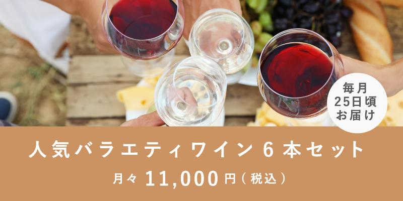 人気バラエティワイン6本セット