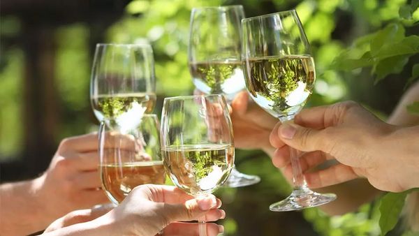【たまプラーザ店限定】世界のシャルドネを知る。シャルドネ10種有料試飲販売会