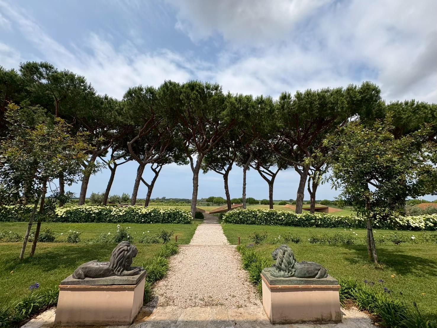 ブログメイン画像