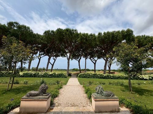 ブログメイン画像