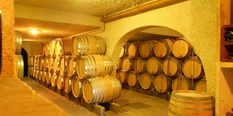 cellar