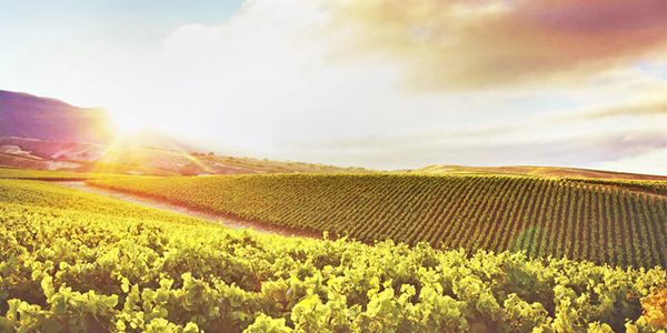 土日スタンディングセミナー　2026年第3弾： 「アメリカ・カリフォルニア vol.2 編」