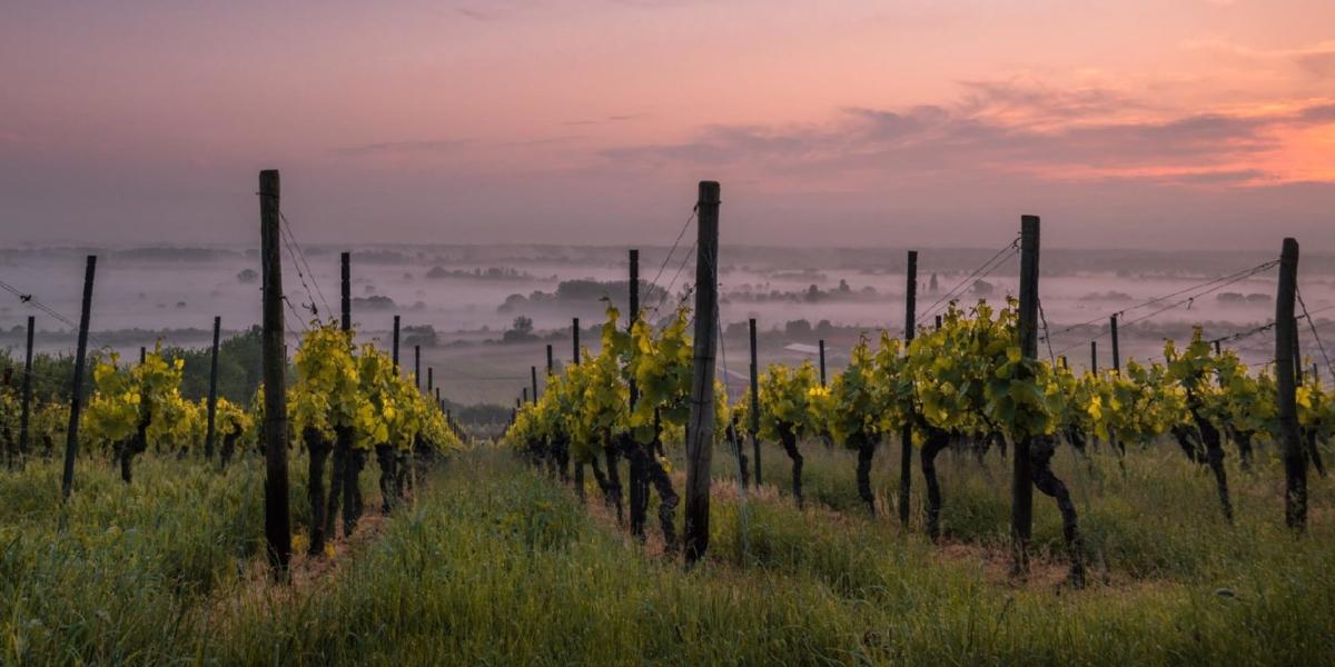 パリゴ・エ・リシャール / PARIGOT & RICHARD