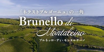ブログメイン画像