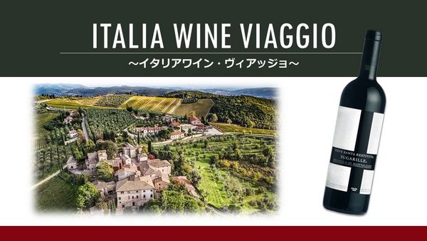 Italia Wine "Viaggio"「イタリアワイン・ヴィアッジョ」