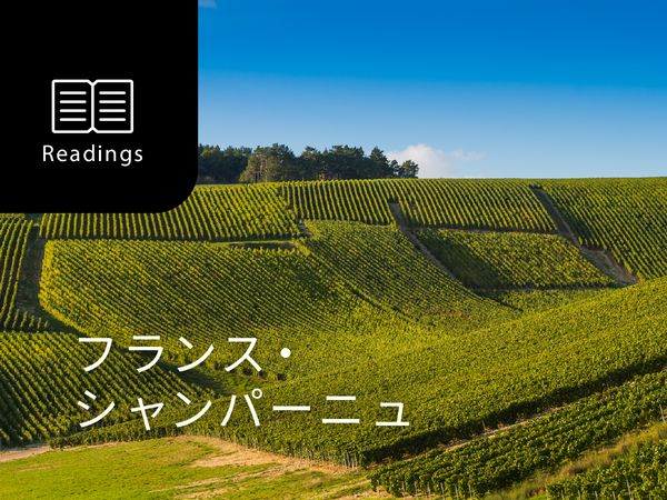 ワイン産地を知ろう！シャンパーニュ