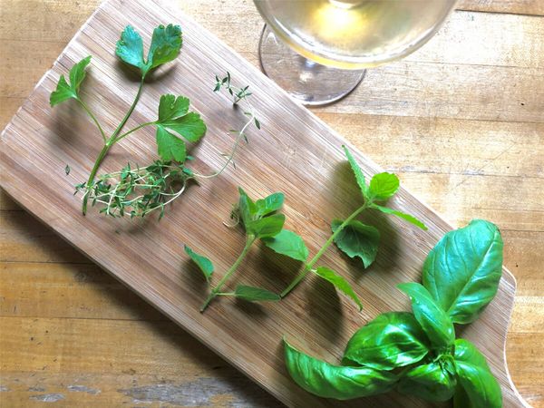 本当は教えたくない！プロのソムリエが教える家飲みを楽しくする方法