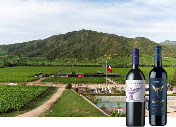 【モンテス】チリの伝統品種カルメネール