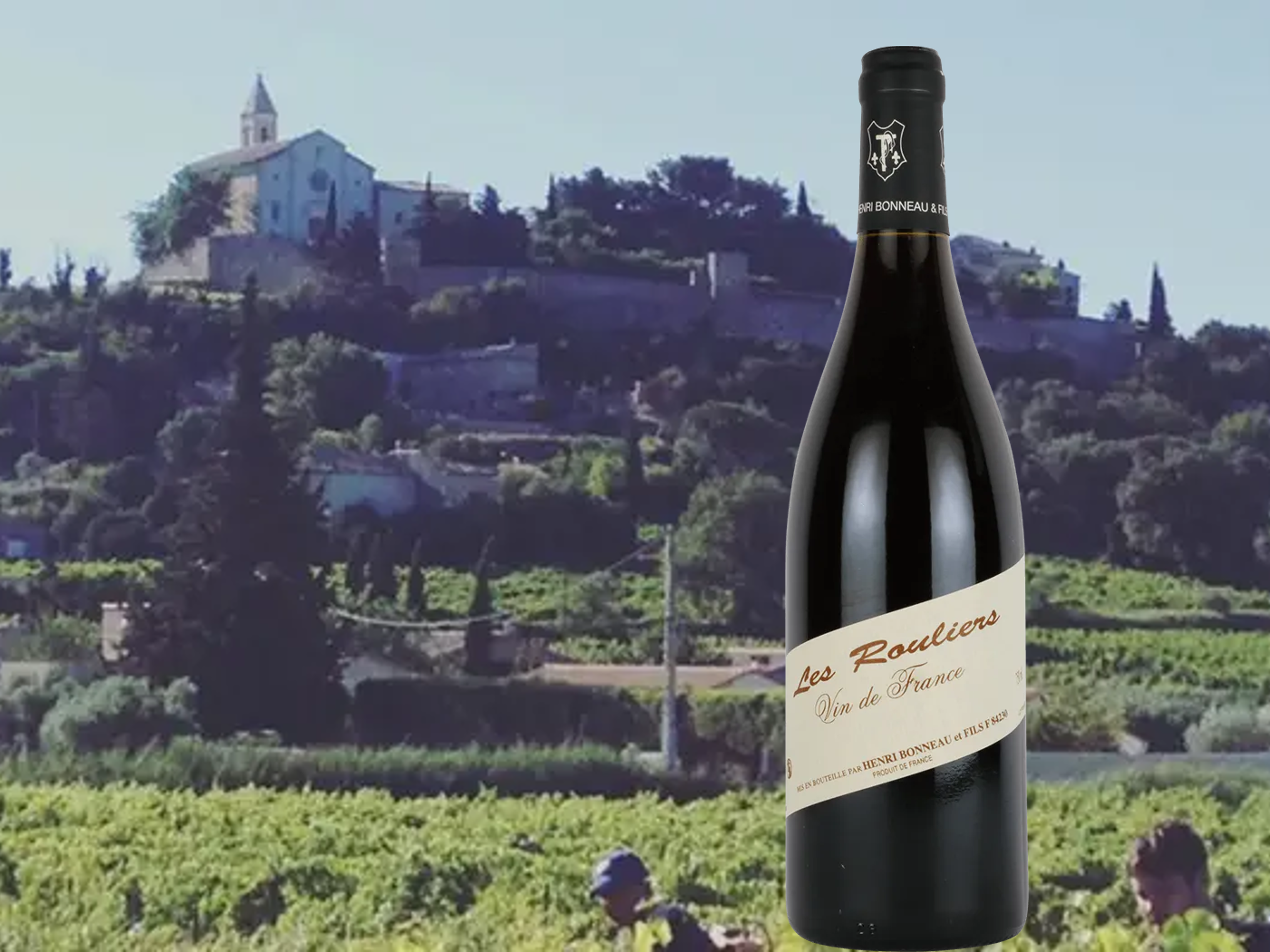 【4週目】11月週末スペシャルグラス