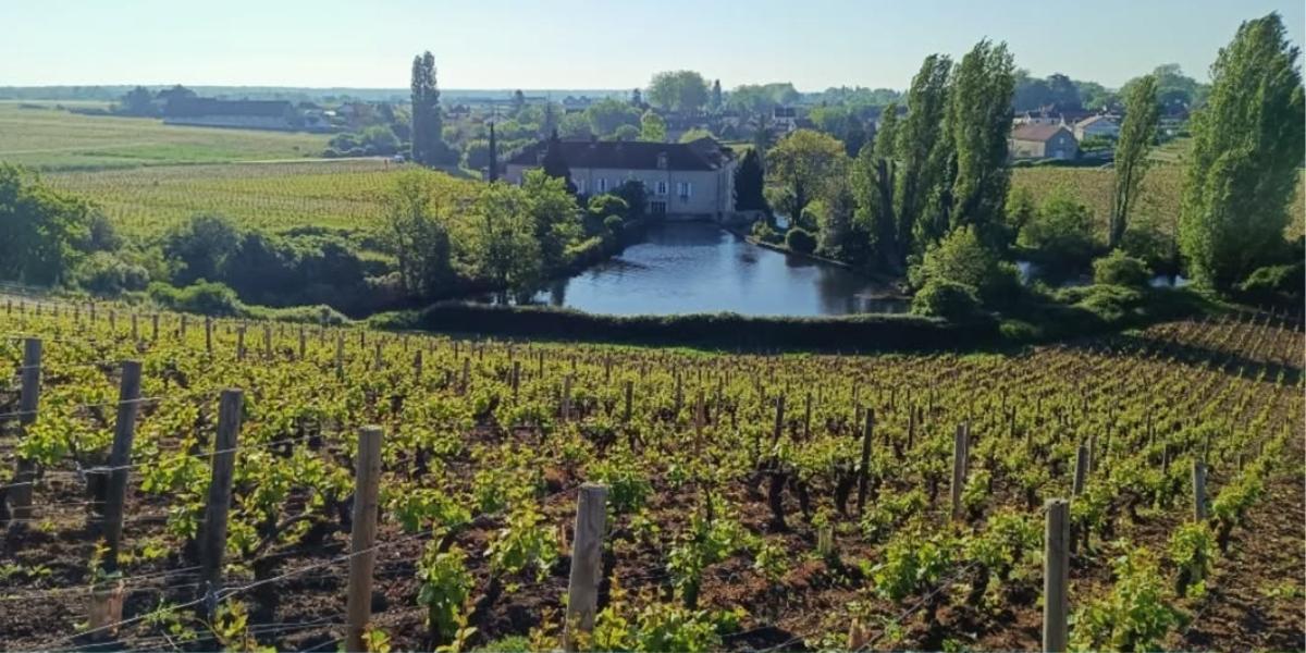 winery
