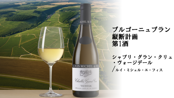 【5月22日（金）～無くなり次第終了】ブルゴーニュブラン縦断計画　～第一酒　シャブリ編～