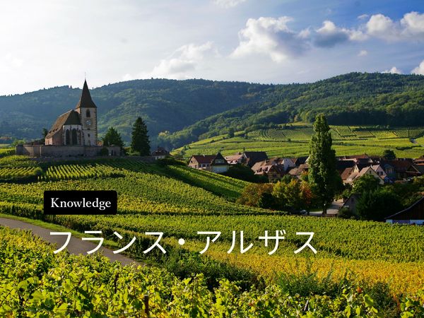 ワイン産地を知ろう！アルザス