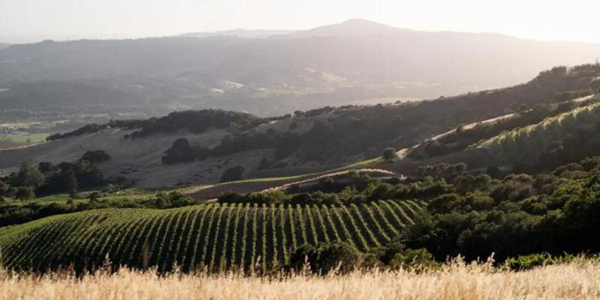 キスラー・ヴィンヤーズ KISTLER VINEYARDS | エノテカ - ワイン通販