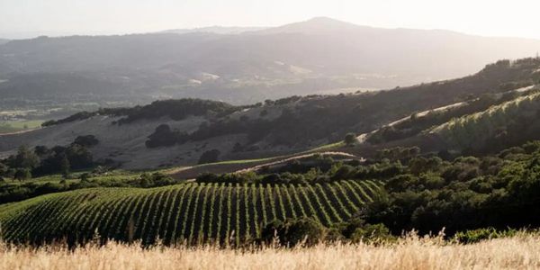 キスラー・ヴィンヤーズ / KISTLER VINEYARDS